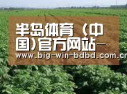 种植基地五