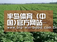 种植基地五(图1)