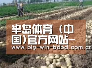 种植基地八