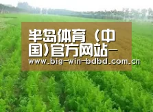 种植基地四